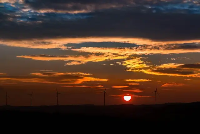 4. sınıf ingilizce 1. ünite konuları